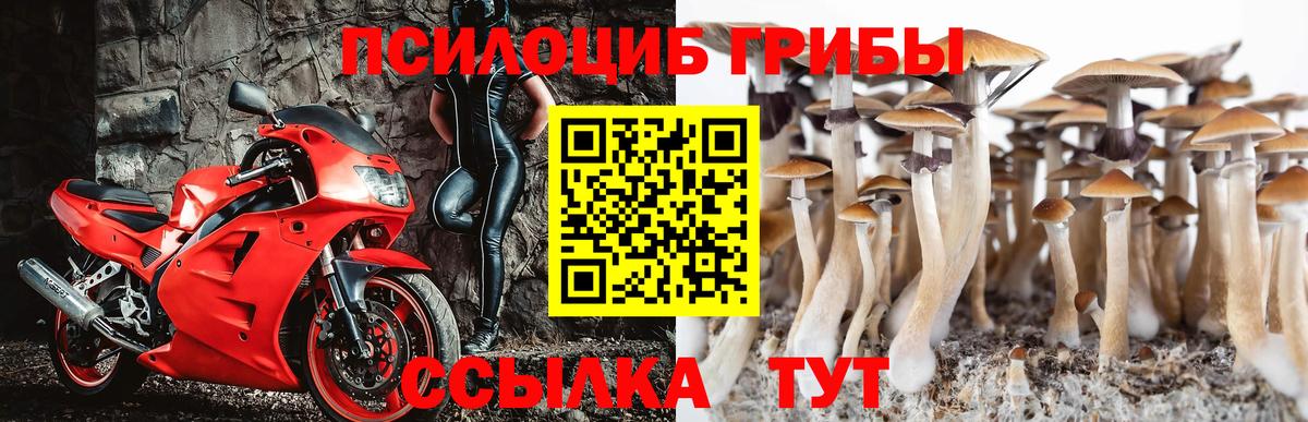 Галлюциногенные грибы Psilocybine cubensis  Вход с VPN  Новороссийск  Галлюциногенные грибы GOLDEN TEACHER 